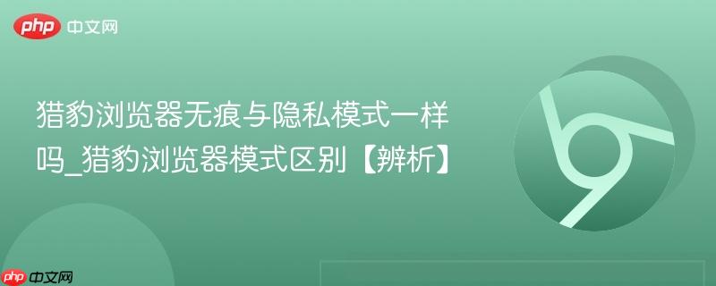 猎豹浏览器无痕与隐私模式一样吗_猎豹浏览器模式区别【辨析】