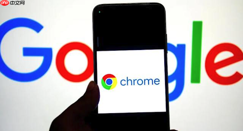 Chrome浏览器手机版官网入口 谷歌浏览器移动端官方下载地址  第1张