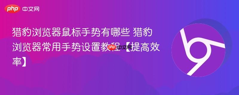 猎豹浏览器鼠标手势有哪些 猎豹浏览器常用手势设置教程【提高效率】  第1张