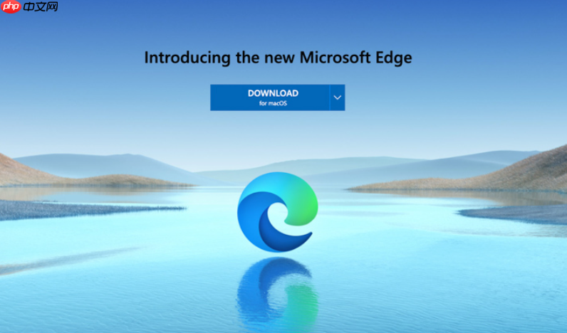 Edge浏览器手机端怎么用？Microsoft Edge移动端功能介绍  第1张