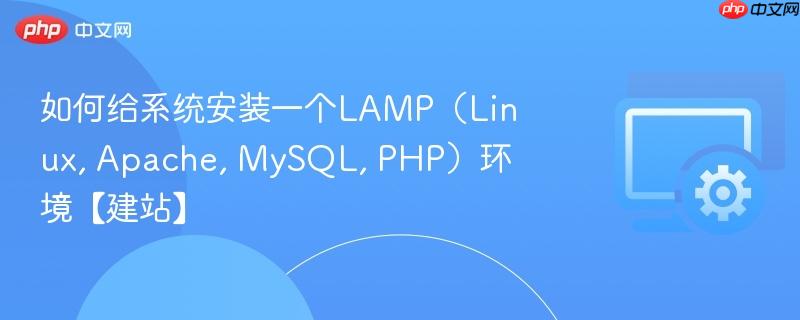 如何给系统安装一个LAMP（Linux, Apache, MySQL, PHP）环境【建站】  第1张