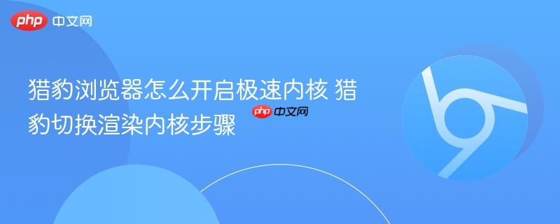 猎豹浏览器怎么开启极速内核 猎豹切换渲染内核步骤  第1张