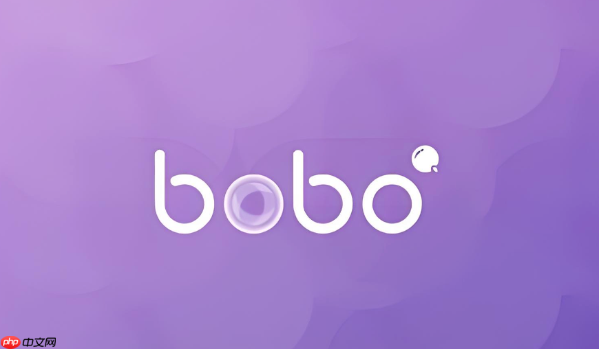 波波浏览器最新版网页 bobo浏览器2026最新入口  第1张