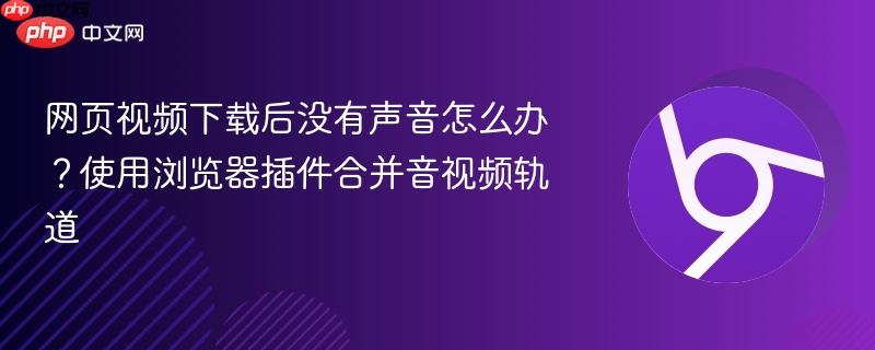 网页视频下载后没有声音怎么办？使用浏览器插件合并音视频轨道  第1张