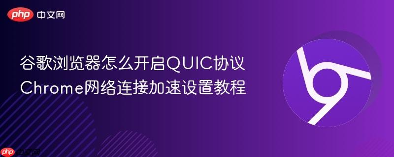 谷歌浏览器怎么开启QUIC协议 Chrome网络连接加速设置教程