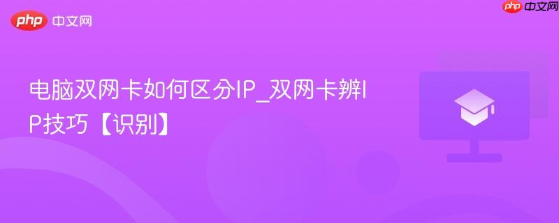 电脑双网卡如何区分IP_双网卡辨IP技巧【识别】  第1张