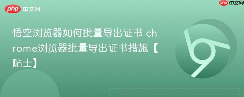 悟空浏览器如何批量导出证书 chrome浏览器批量导出证书措施【贴士】  第1张