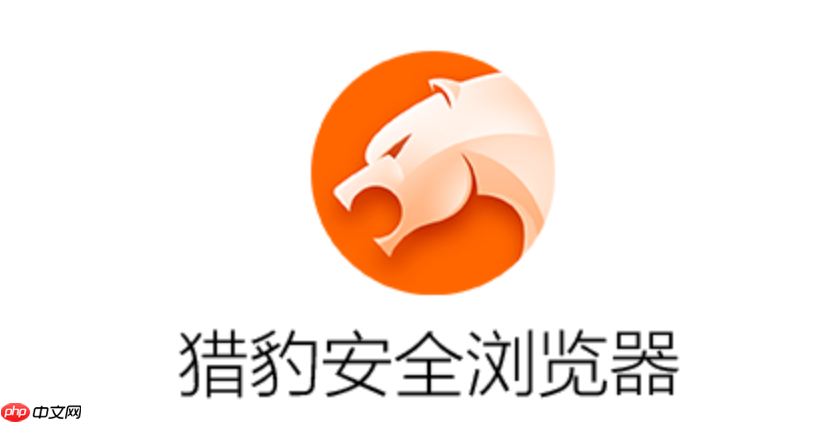 猎豹浏览器官方网站登录 猎豹浏览器在线体验中心