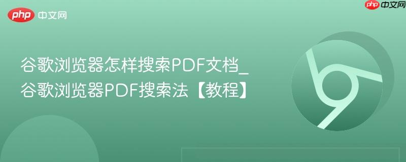 谷歌浏览器怎样搜索PDF文档_谷歌浏览器PDF搜索法【教程】  第1张