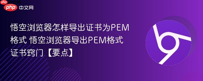 悟空浏览器怎样导出证书为PEM格式 悟空浏览器导出PEM格式证书窍门【要点】  第1张