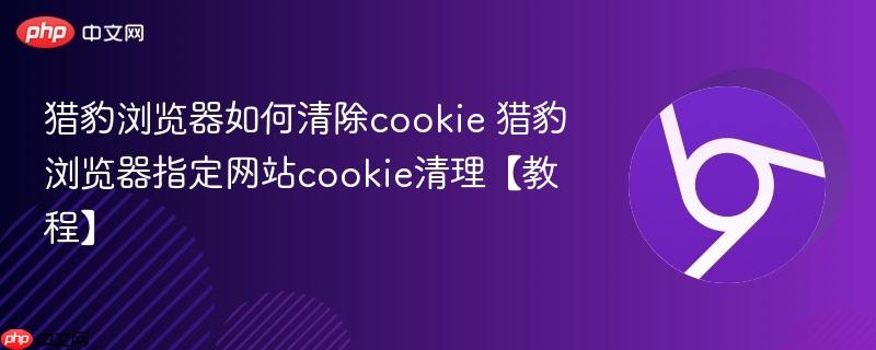 猎豹浏览器如何清除cookie 猎豹浏览器指定网站cookie清理【教程】  第1张