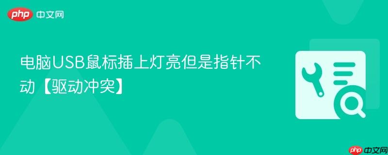 电脑USB鼠标插上灯亮但是指针不动【驱动冲突】  第1张