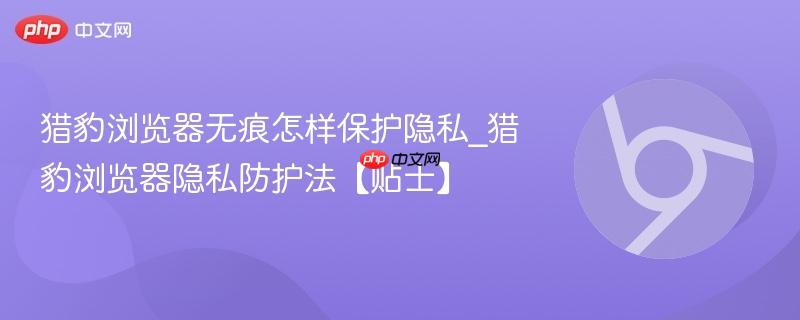 猎豹浏览器无痕怎样保护隐私_猎豹浏览器隐私防护法【贴士】  第1张