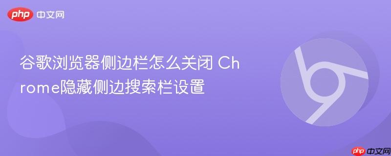 谷歌浏览器侧边栏怎么关闭 Chrome隐藏侧边搜索栏设置  第1张