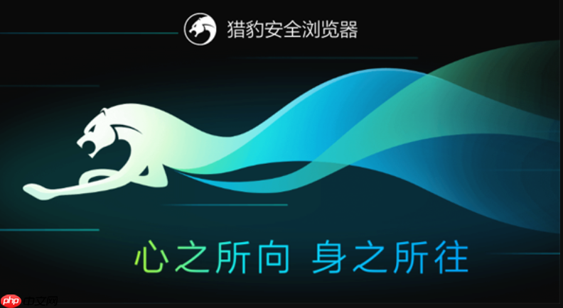 猎豹浏览器免安装网页版 猎豹浏览器在线云端使用入口  第1张