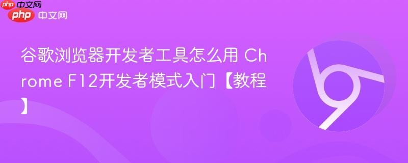 谷歌浏览器开发者工具怎么用 Chrome F12开发者模式入门【教程】  第1张