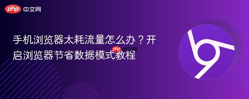 手机浏览器太耗流量怎么办？开启浏览器节省数据模式教程