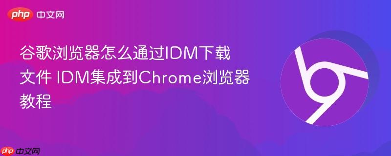 谷歌浏览器怎么通过IDM下载文件 IDM集成到Chrome浏览器教程  第1张