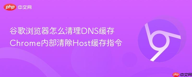 谷歌浏览器怎么清理DNS缓存 Chrome内部清除Host缓存指令  第1张