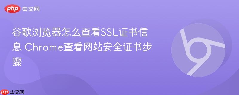 谷歌浏览器怎么查看SSL证书信息 Chrome查看网站安全证书步骤  第1张