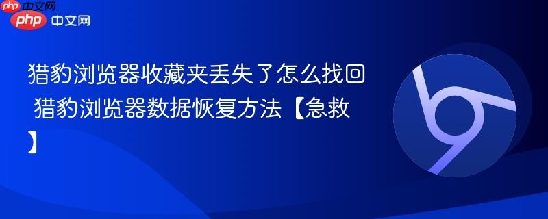猎豹浏览器收藏夹丢失了怎么找回 猎豹浏览器数据恢复方法【急救】  第1张