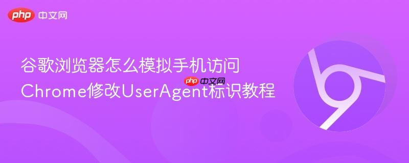 谷歌浏览器怎么模拟手机访问 Chrome修改UserAgent标识教程  第1张