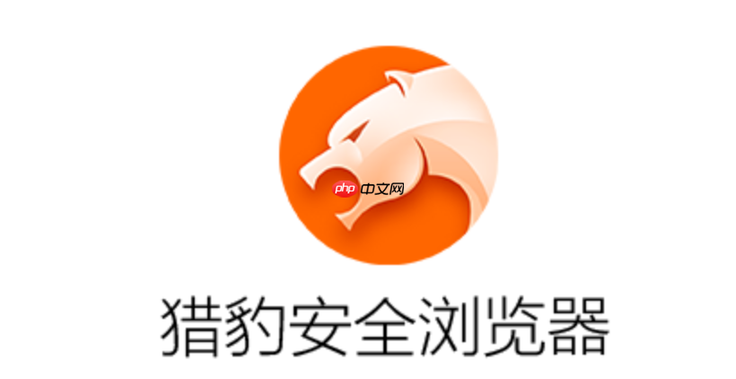 猎豹浏览器网页版官方入口 猎豹浏览器在线使用平台  第1张