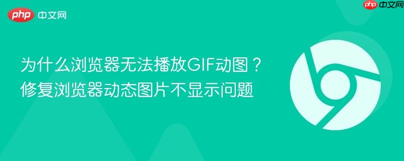 为什么浏览器无法播放GIF动图?修复浏览器动态图片不显示问题 第1张 为什么浏览器无法播放GIF动图?修复浏览器动态图片不显示问题 第1张