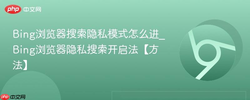 Bing浏览器搜索隐私模式怎么进_Bing浏览器隐私搜索开启法【方法】  第1张
