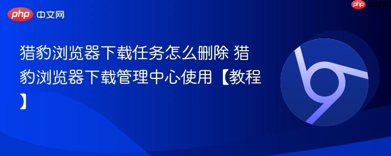 猎豹浏览器下载任务怎么删除 猎豹浏览器下载管理中心使用【教程】  第1张