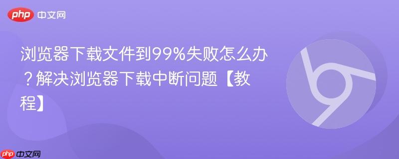 浏览器下载文件到99%失败怎么办？解决浏览器下载中断问题【教程】  第1张