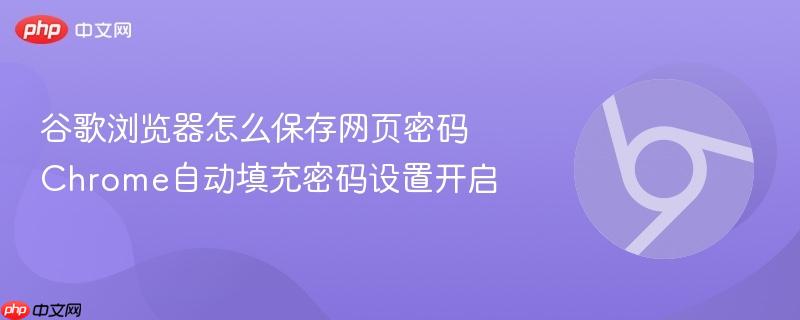 谷歌浏览器怎么保存网页密码 Chrome自动填充密码设置开启
