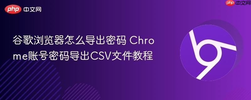 谷歌浏览器怎么导出密码 Chrome账号密码导出CSV文件教程  第1张