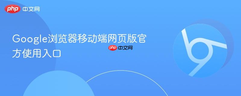Google浏览器移动端网页版官方使用入口  第1张