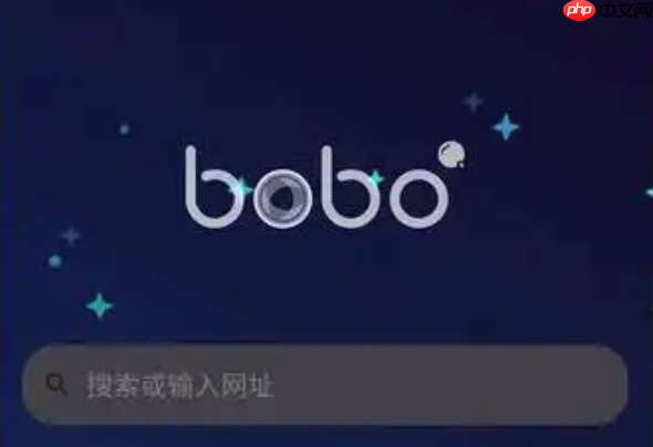 寻找bobo浏览器入口 bobo浏览器网页版官方入口  第1张