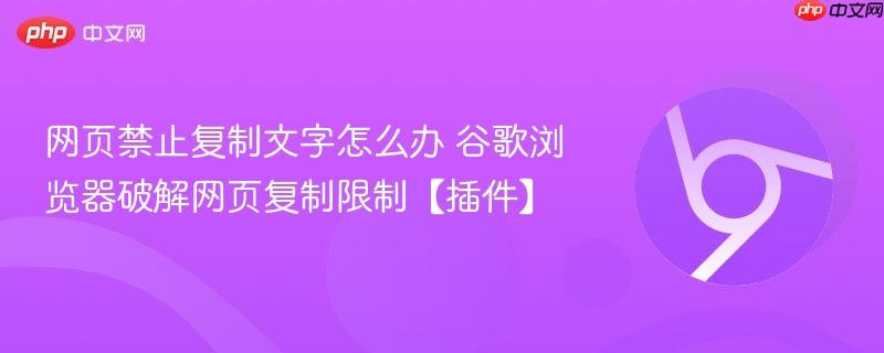 网页禁止复制文字怎么办 谷歌浏览器破解网页复制限制【插件】  第1张