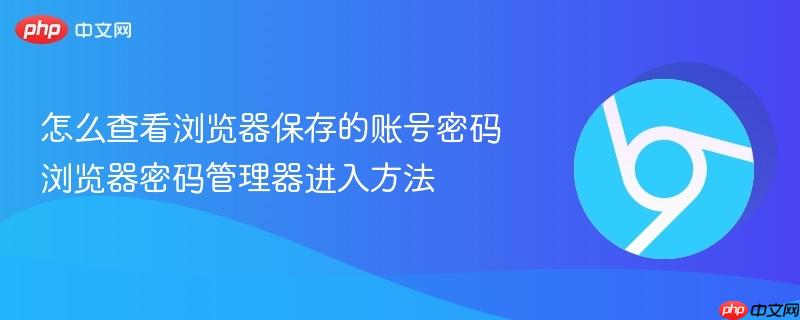 怎么查看浏览器保存的账号密码 浏览器密码管理器进入方法  第1张