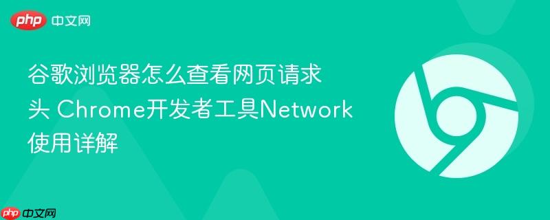 谷歌浏览器怎么查看网页请求头 Chrome开发者工具Network使用详解 第1张 谷歌浏览器怎么查看网页请求头 Chrome开发者工具Network使用详解 第1张