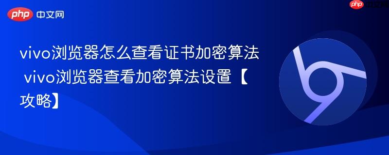 vivo浏览器怎么查看证书加密算法 vivo浏览器查看加密算法设置【攻略】  第1张