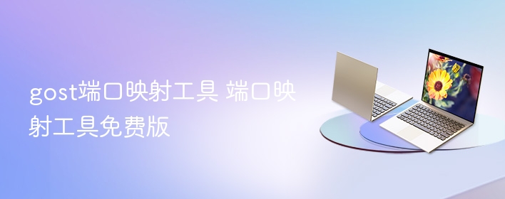 gost端口映射工具 端口映射工具免费版 第1张 gost端口映射工具 端口映射工具免费版 第1张