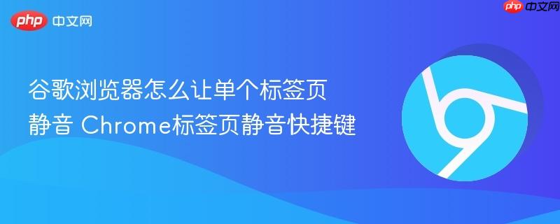 谷歌浏览器怎么让单个标签页静音 Chrome标签页静音快捷键 第1张 谷歌浏览器怎么让单个标签页静音 Chrome标签页静音快捷键 第1张