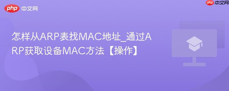 怎样从ARP表找MAC地址_通过ARP获取设备MAC方法【操作】  第1张