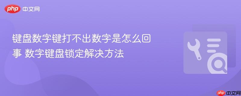 键盘数字键打不出数字是怎么回事 数字键盘锁定解决方法  第1张