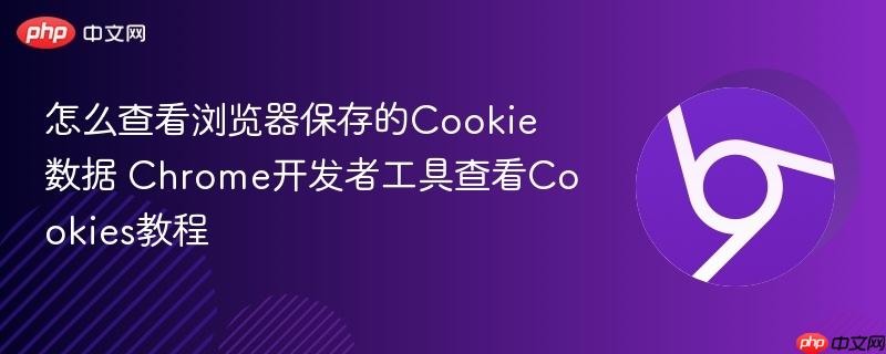 怎么查看浏览器保存的Cookie数据 Chrome开发者工具查看Cookies教程