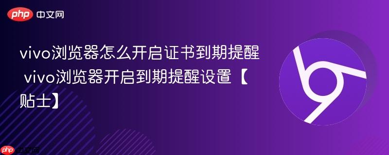 vivo浏览器怎么开启证书到期提醒 vivo浏览器开启到期提醒设置【贴士】  第1张