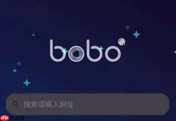波波浏览器免安装版 bobo浏览器在线使用入口  第1张