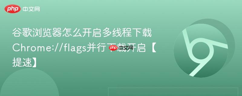 谷歌浏览器怎么开启多线程下载 Chrome://flags并行下载开启【提速】  第1张