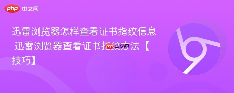 迅雷浏览器怎样查看证书指纹信息 迅雷浏览器查看证书指纹方法【技巧】  第1张
