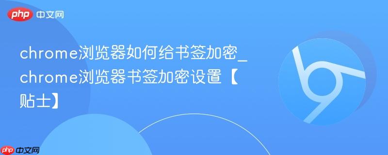chrome浏览器如何给书签加密_chrome浏览器书签加密设置【贴士】  第1张
