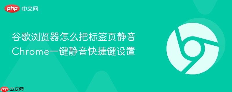 谷歌浏览器怎么把标签页静音 Chrome一键静音快捷键设置  第1张